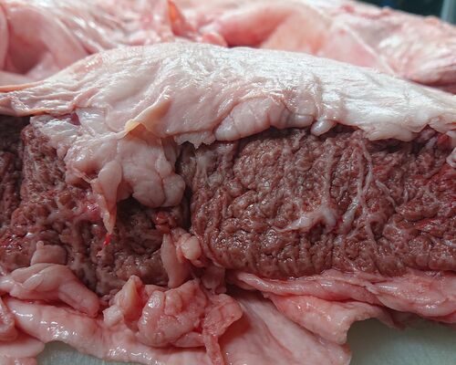 DSC_0121_1594895277958